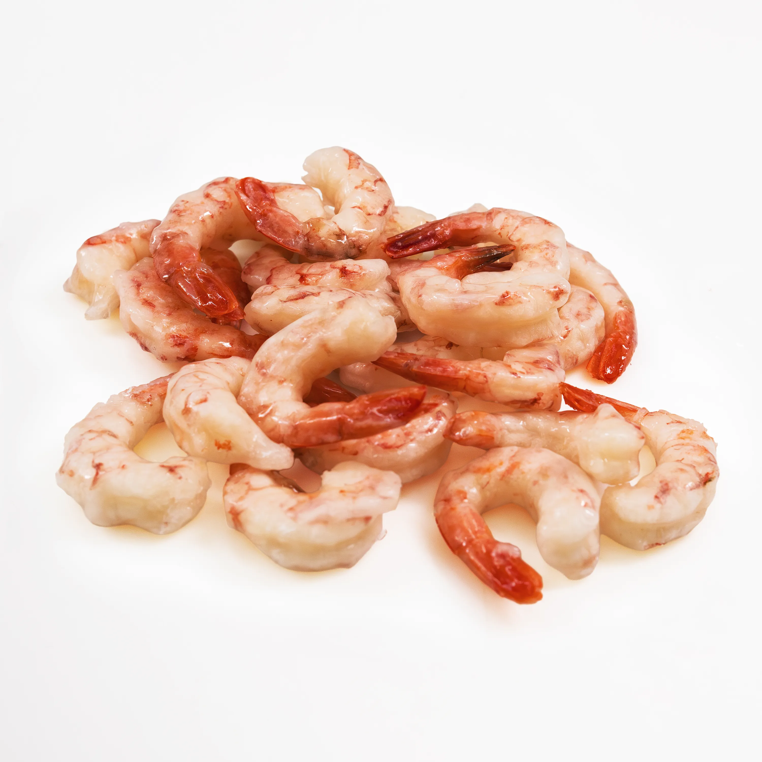 Shrimp Santana M_G 40_60